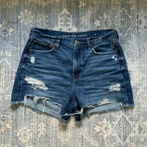 American Eagle Outfitters Women's Ripped Blue Jean Shorts